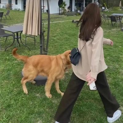 秘境古兽